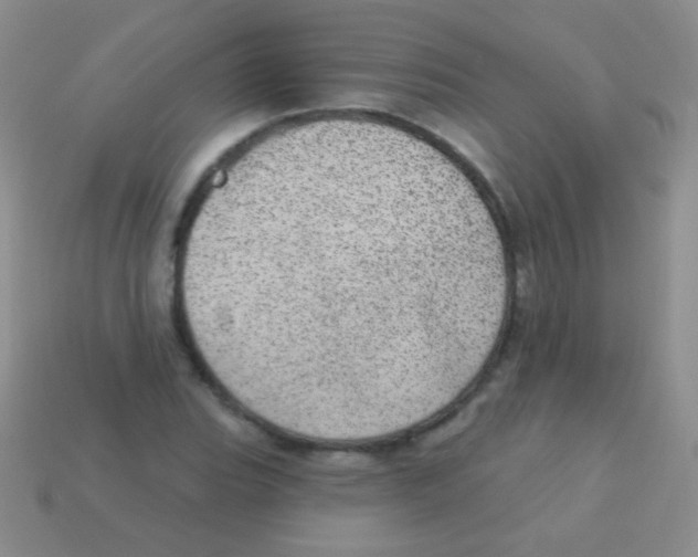 X0000113631119200910162009