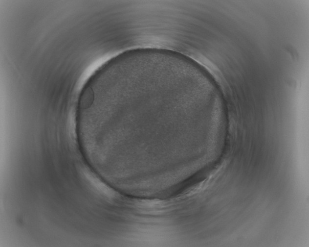 X0000113631120200910162009