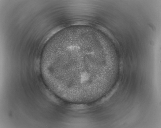 X0000113631121200910162009