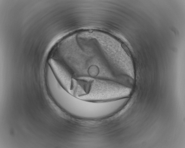 X0000113631122200910162009