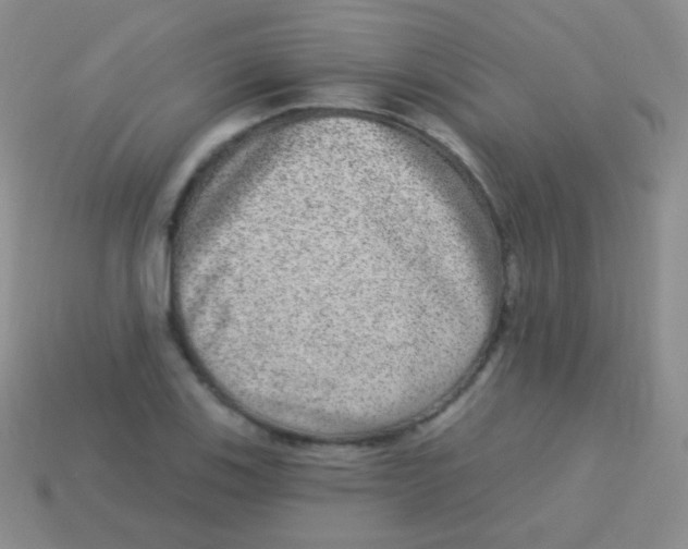 X0000113631123200910162009