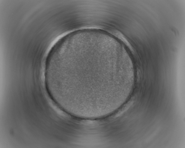 X0000113631124200910162009