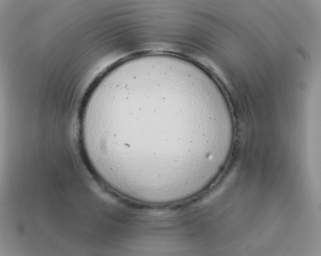 X0000113631125200910162009