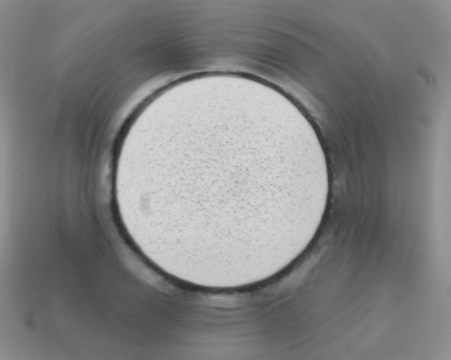 X0000113631126200910162009