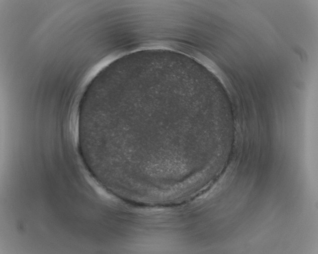 X0000113631127200910162009