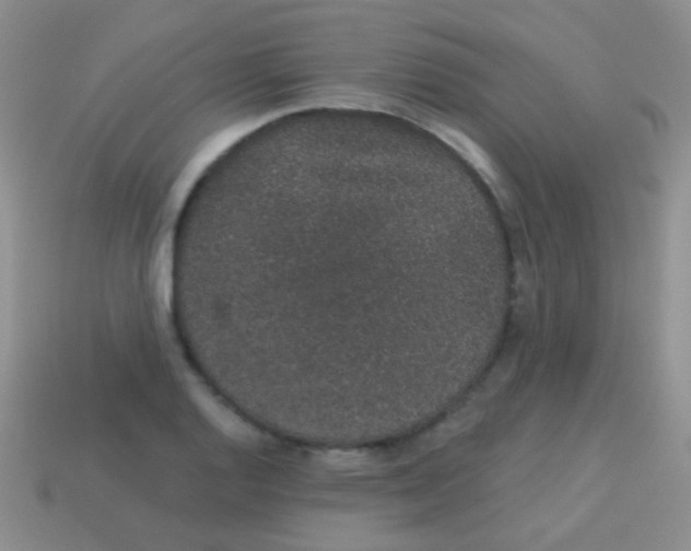 X0000113631128200910162009