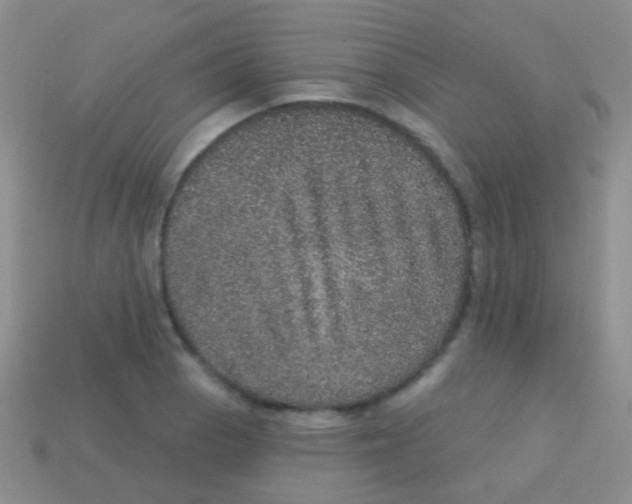 X0000113631129200910162009