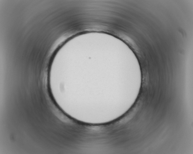 X0000113631130200910162009