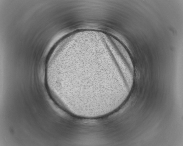 X0000113631131200910162009