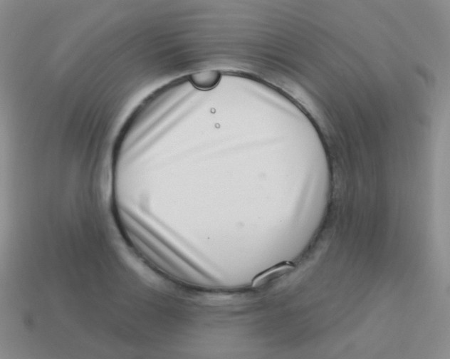 X0000113631132200910162010