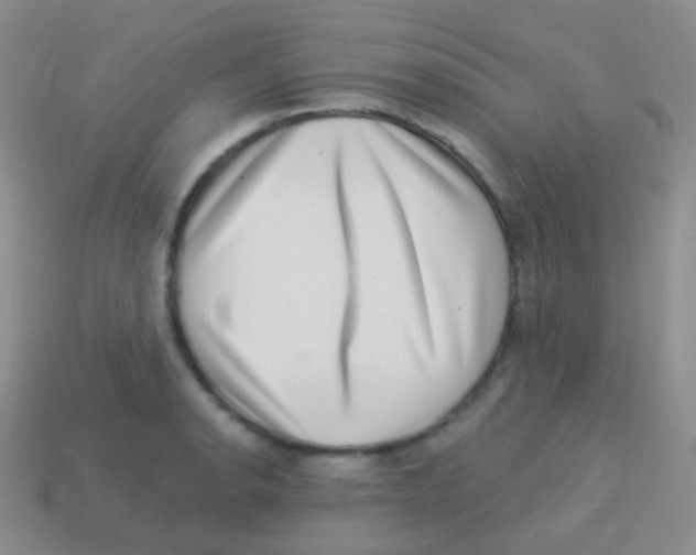 X0000113631134200910162010