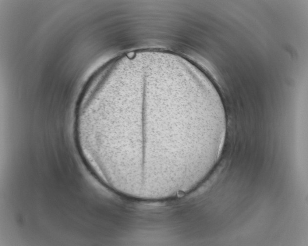 X0000113631135200910162010