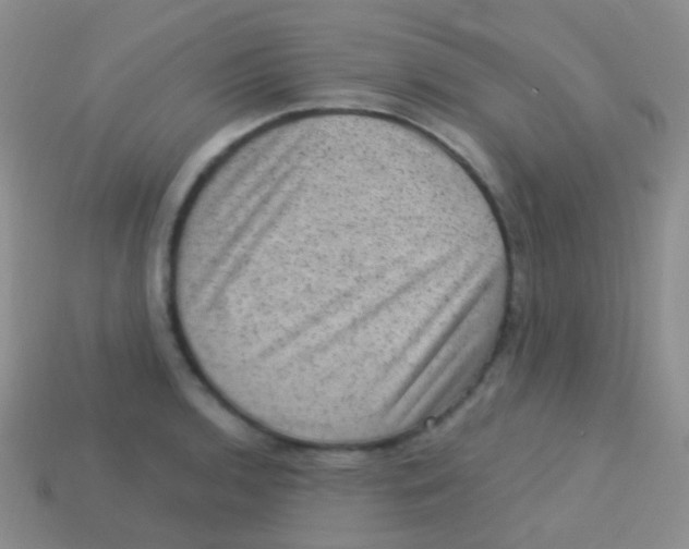 X0000113631136200910162010