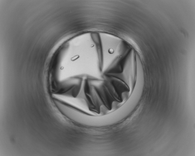 X0000113631138200910162010