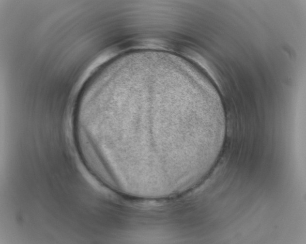 X0000113631139200910162010