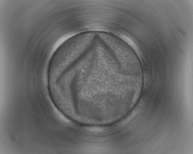 X0000113631141200910162010