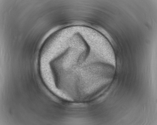 X0000113631142200910162010