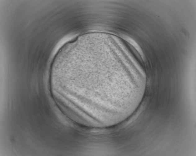 X0000113631146200910162010