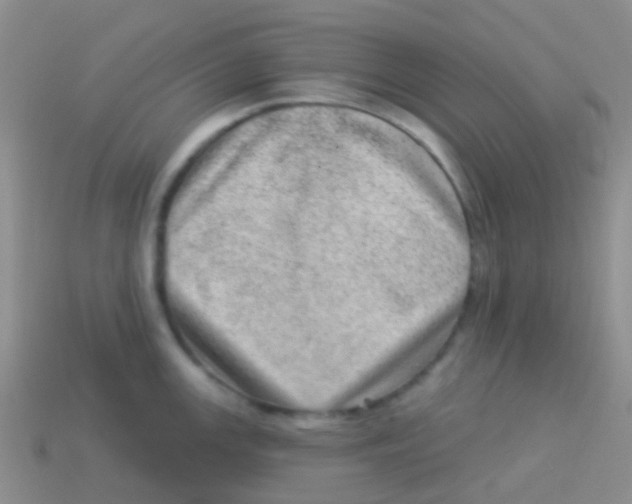 X0000113631147200910162010