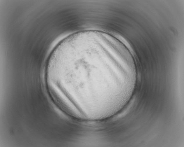 X0000113631149200910162010