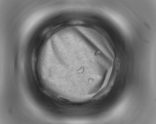 X0000113631151200910162010