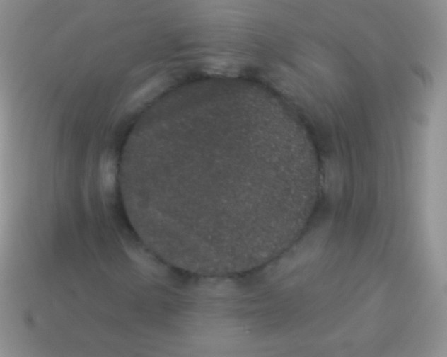 X0000113631154200910162009