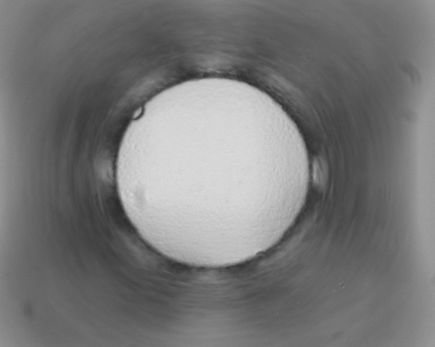 X0000113631155200910162009