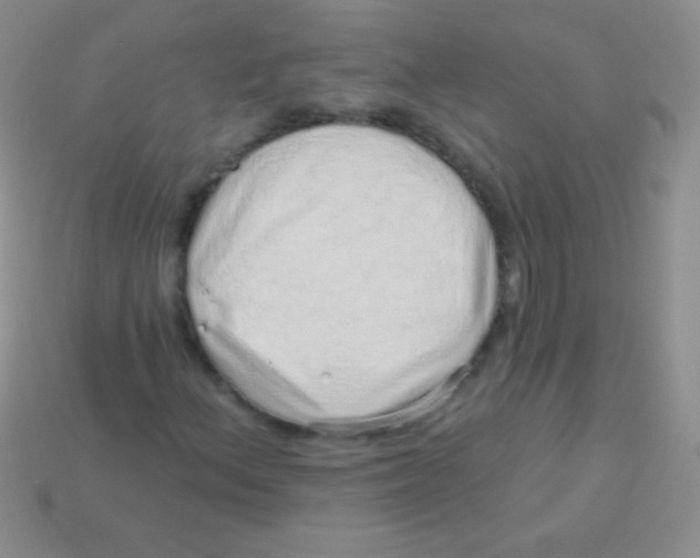 X0000113631156200910162009