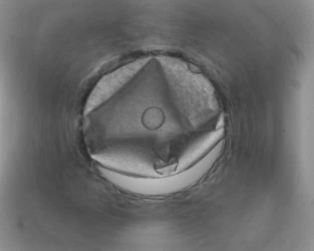 X0000113631157200910162009