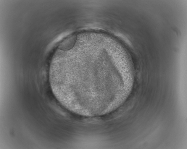 X0000113631159200910162009