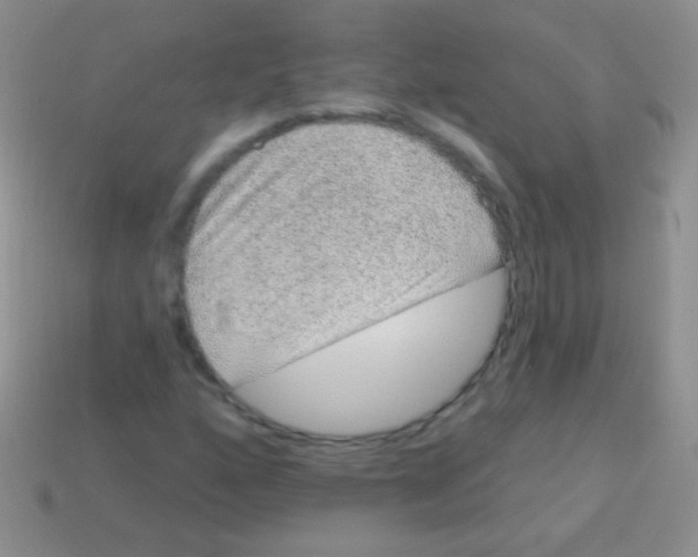 X0000113631160200910162009