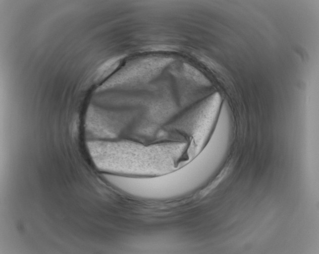 X0000113631161200910162009