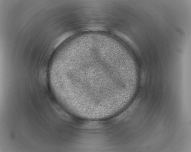 X0000113631162200910162009