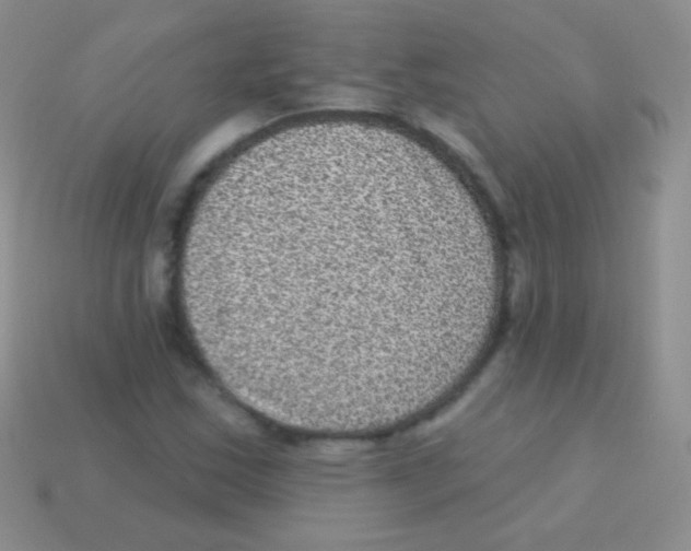 X0000113631163200910162009