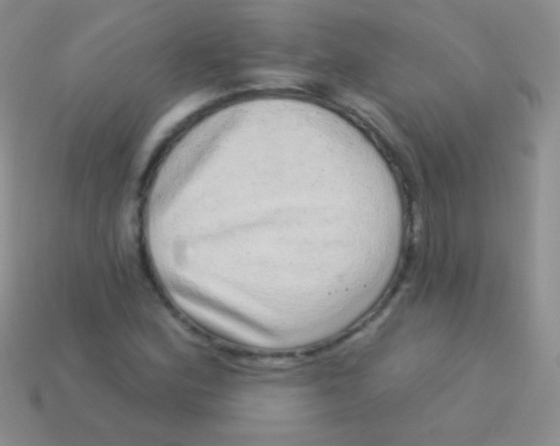 X0000113631164200910162009