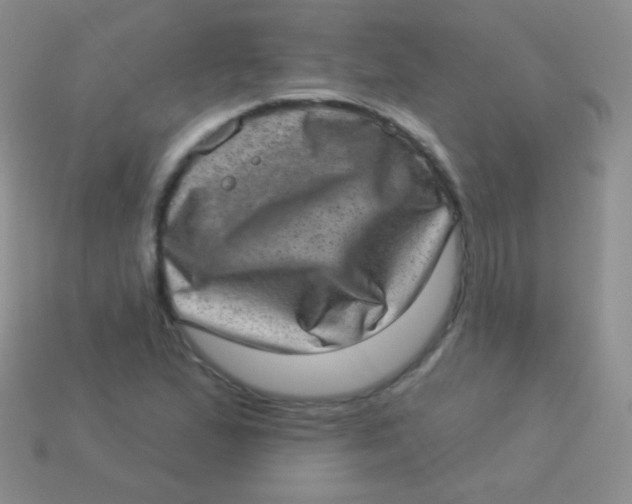 X0000113631167200910162009