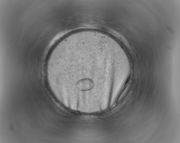 X0000113631168200910162009