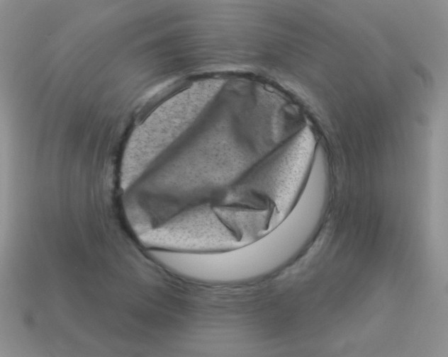 X0000113631169200910162009