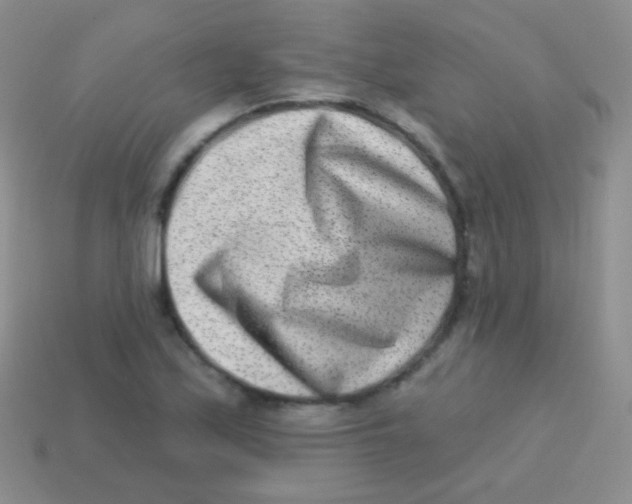 X0000113631171200910162009