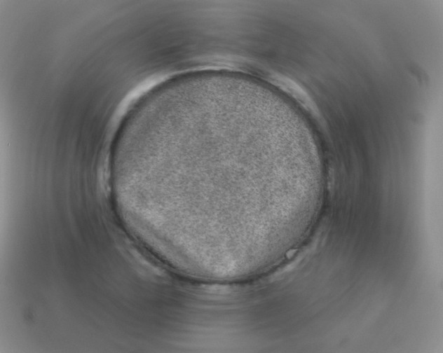 X0000113631172200910162009