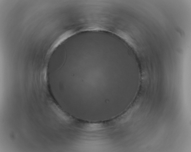 X0000113631173200910162009