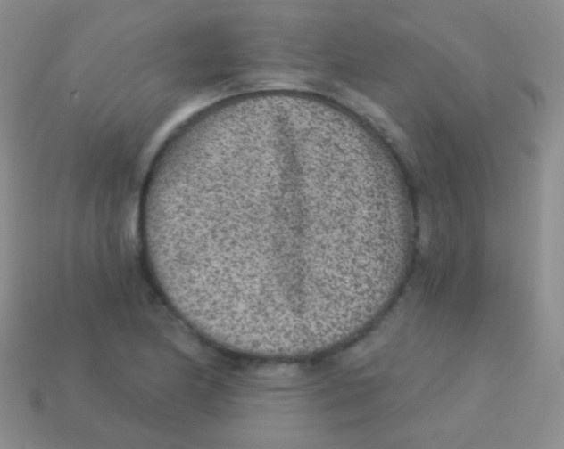 X0000113631174200910162009