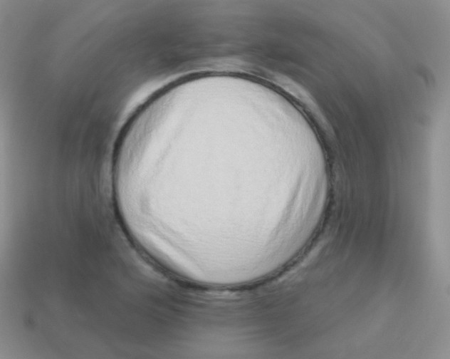 X0000113631176200910162009