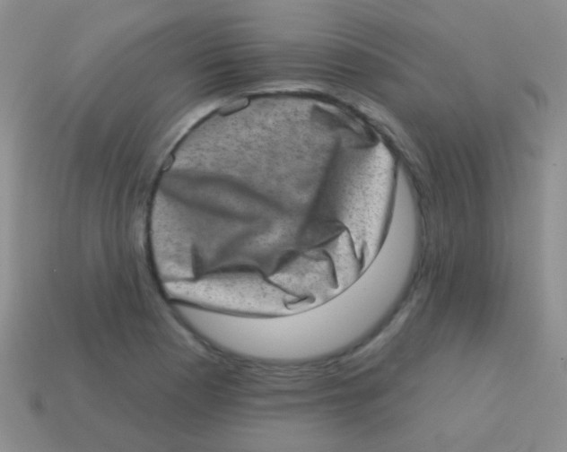 X0000113631177200910162009