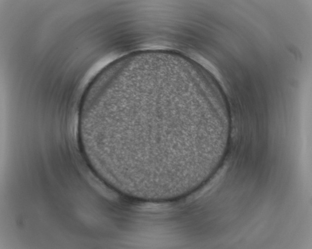 X0000113631179200910162009