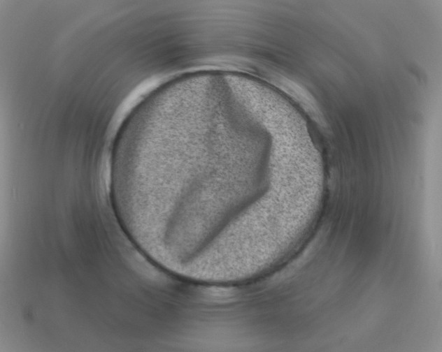 X0000113631180200910162009