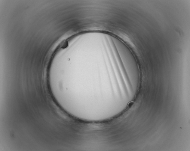 X0000113631181200910162009