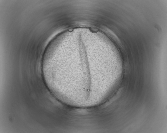 X0000113631182200910162009