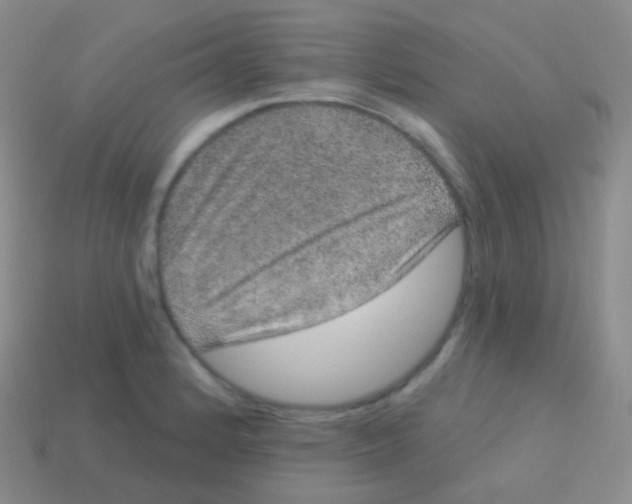 X0000113631184200910162009