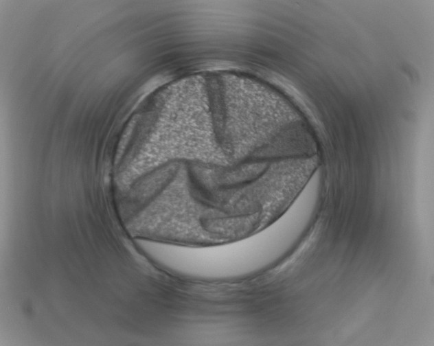 X0000113631185200910162009